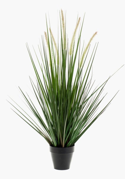 Künstliches Ziergras im schwarzen Kunststofftopf mit cremefarbenen Blütenwedeln.