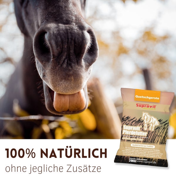Pferdekopf im Vordergrund mit einer Packung Supravit Quetschgerste Pferdefutter im Hintergrund, die als 100 Prozent natürlich beworben wird