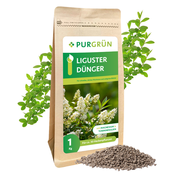 Purgrün Liguster-Dünger 1 kg