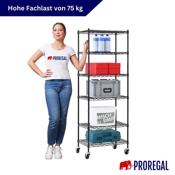 Mobiles Proregal Drahtgitterregal mit sechs Ebenen, Rollen und einer Fachlast von 75 Kilogramm. Proregal Logo.