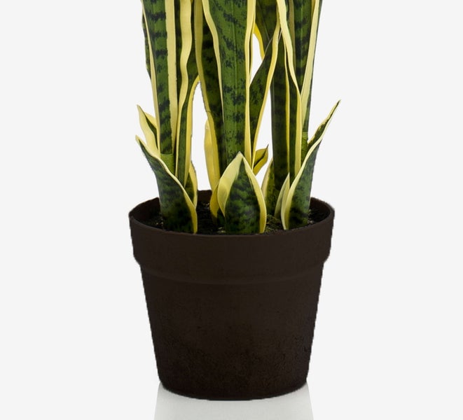 Sansevieria künstlich Elene, grün-gelb, 95cm - Künstlicher Bogenhanf/Deko Schwiegermutterzunge