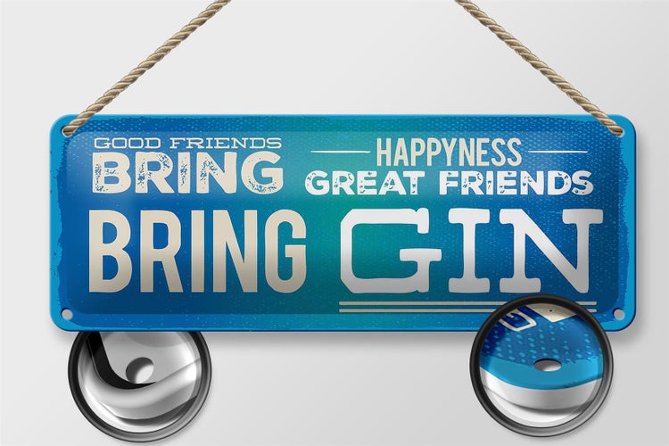 Blechschild Spruch Good Friends bring Happyness Gin 27x10cm