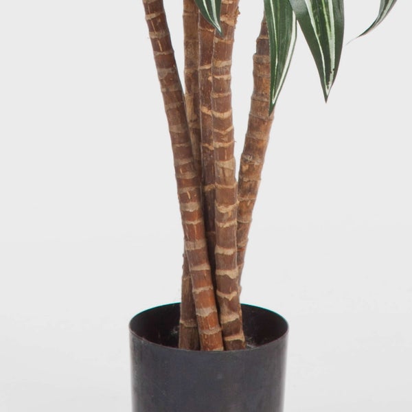 Künstliche Pflanze mit strukturierten Stämmen und gestreiften Blättern in einem schwarzen Topf.