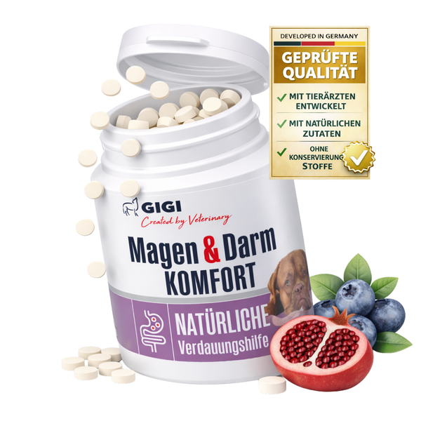 GIGI Logo, Magen und Darm Komfort, natürliche Verdauungshilfe für Hunde, Tabletten in der Dose mit Blaubeeren und Granatapfel, geprüfte Qualität.