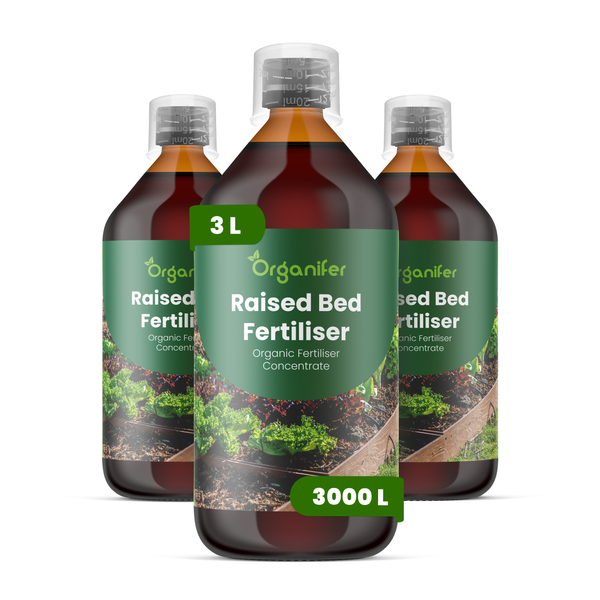 Drei Flaschen Organifer Bio-Hochbeetdünger Konzentrat, 3 Liter.
