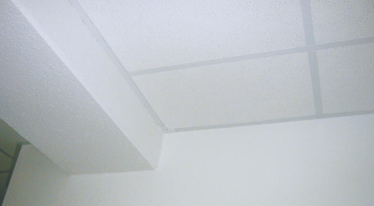 Deckenansicht mit Deckenplatten und Trägern