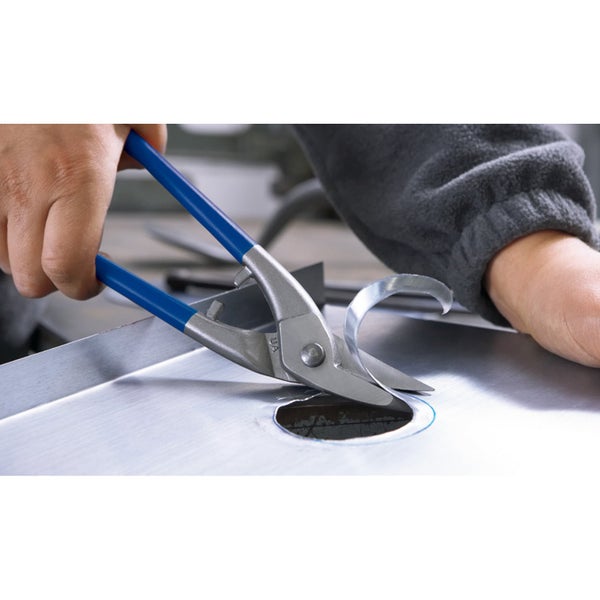 Nahaufnahme einer Schafgarbenpflanze mit rosa und weißen Blüten