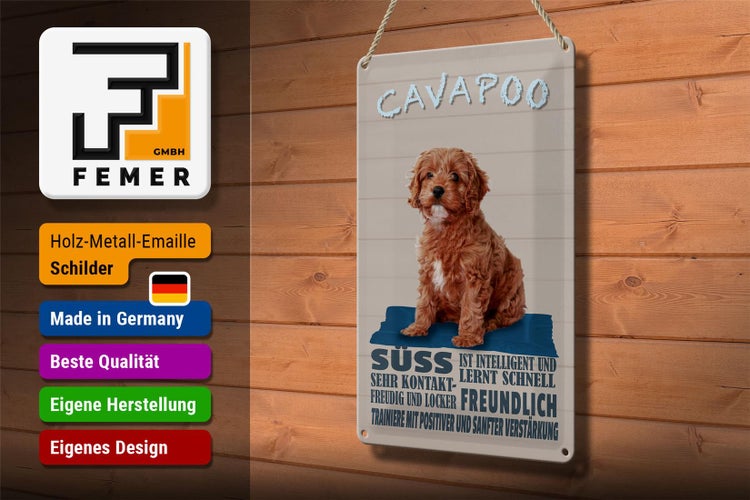 Blechschild Spruch 20x30cm Cavapoo Hund süss freundlich