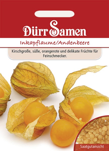 Samenpackung für Inkapflaume und Andenbeere, Dürr Samen Logo, Darstellung reifer Früchte in ihren Hüllen und Detailansicht der Samen.
