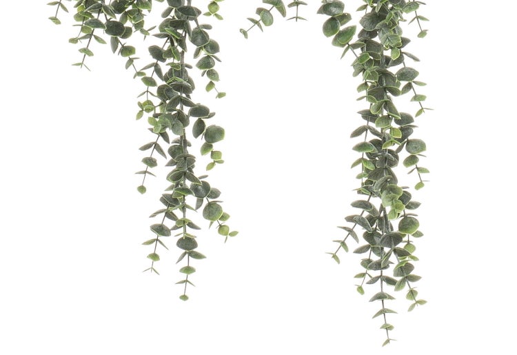 Künstliche Eukalyptus-Hängepflanze mit kleinen runden grünen Blättern an mehreren herabhängenden Ranken.