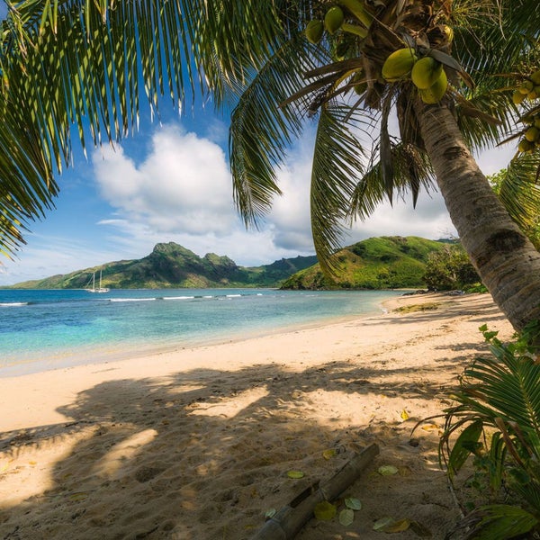Tropischer Strand mit Palmen und türkisfarbenem Wasser