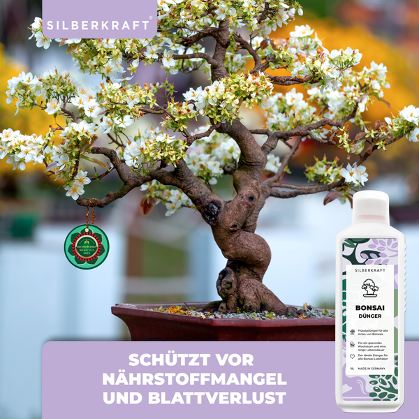SILBERKRAFT Bonsai Bio-Dünger – 1 Liter
