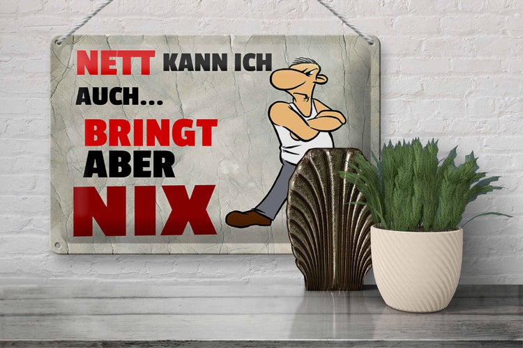 Blechschild Spruch 30x20cm nett kann ich auch bringt aber nix
