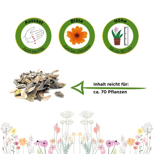 Piktogramme zur Aussaat von April bis Mai, Blütezeit von Juni bis Oktober, Wuchshöhe bis zu 90 Zentimeter. Inhalt reicht für circa 70 Pflanzen.