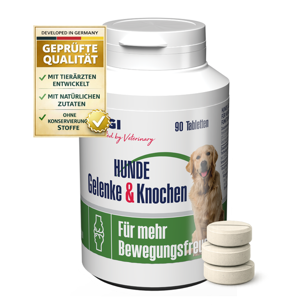 Dose mit 90 Tabletten für Gelenke und Knochen von Hunden, Golden Retriever Abbildung, Geprüfte Qualität aus Deutschland.