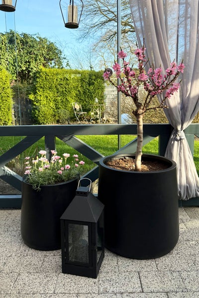 Zwei schwarze Pflanzkübel mit rosa Blumen und einem blühenden Bäumchen neben einer schwarzen Laterne auf einer Steinterrasse.