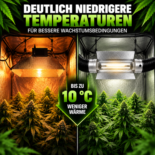 Vergleich zweier Growzelte zeigt Reduzierung der Umgebungstemperatur um 10 Grad Celsius durch ein spezielles Beleuchtungssystem für Pflanzen.
