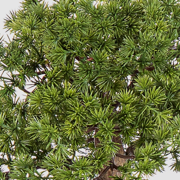 Detailansicht eines künstlichen Bonsai-Stammes in einer schwarzen Schale mit kleinen Kieselsteinen.