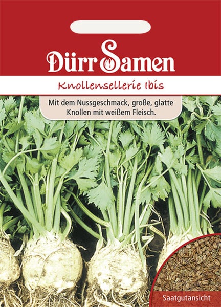 Dürr Samen Samentüte Knollensellerie Ibis mit Abbildung von Sellerieknollen und Saatgutansicht.