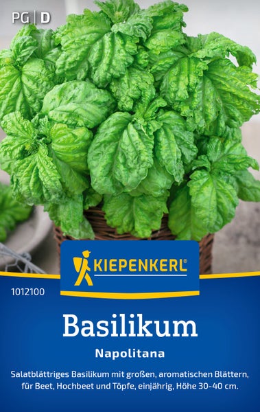 Kiepenkerl Saatgut Basilikum Napolitana mit grossen aromatischen Salatblaettern fuer Beet Hochbeet und Toepfe einjaehrig