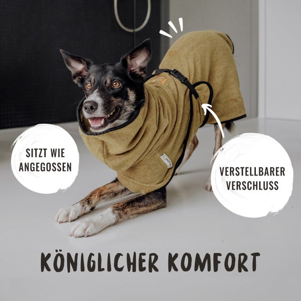 Hund mit Hunde Bademantel mit verstellbarem Verschluss