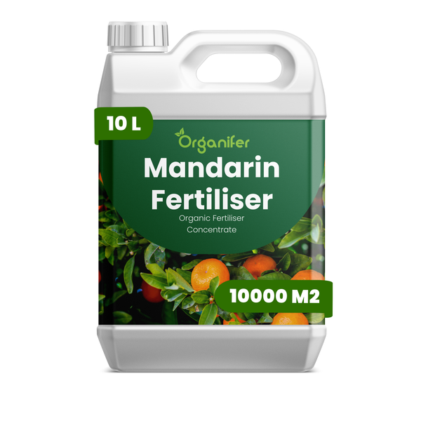 Zwei Flaschen Organifer Porree-Dünger, organisches Düngerkonzentrat, 2 Liter.