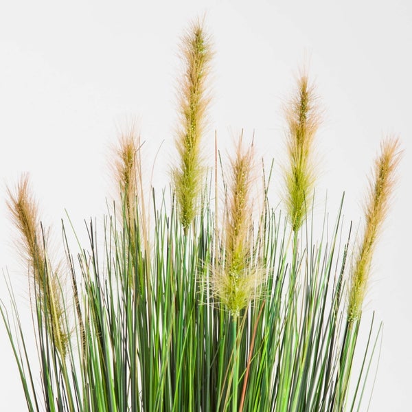 Künstliches Lampenputzergras mit grünen Halmen und flauschigen bräunlichen Blütenständen.