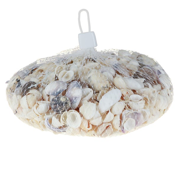 Dekoschale-Netz mit verschiedenen Muscheln