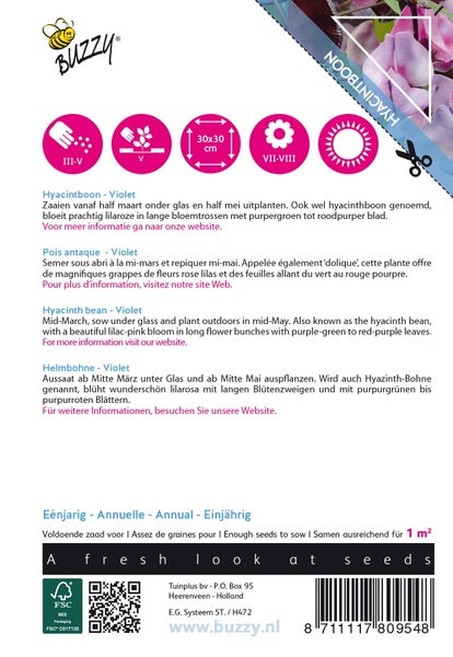 Hyazinthbohnen-Samenpackung Violett von Buzzy