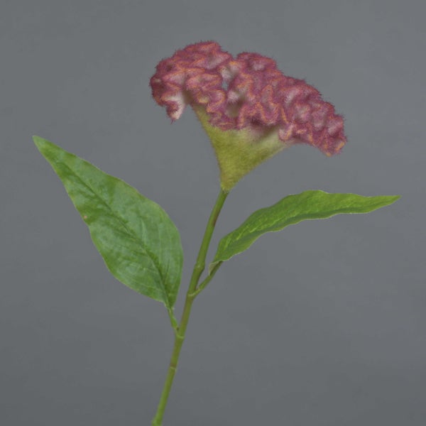 Textilblume Hahnenkamm Anubis, pink, 60cm, Ø13cm - Dekoblume/Kunst Celosia cristata