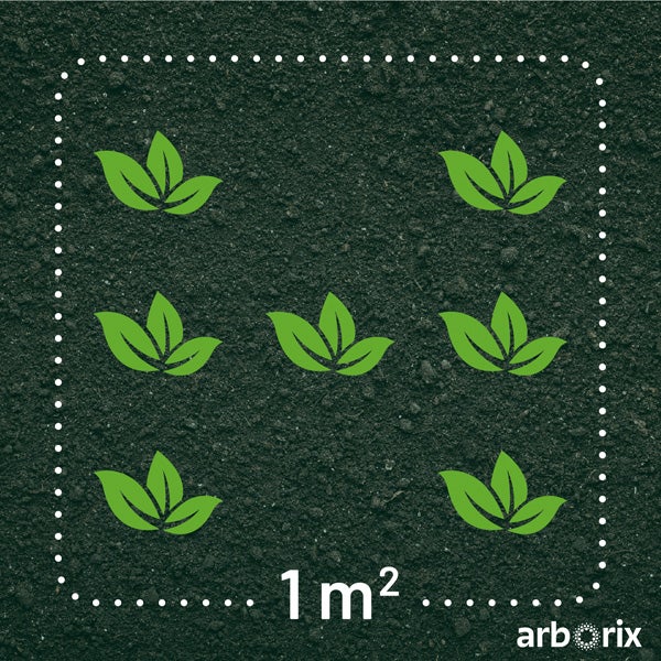 Pflanzschema für einen Quadratmeter mit Pflanzen