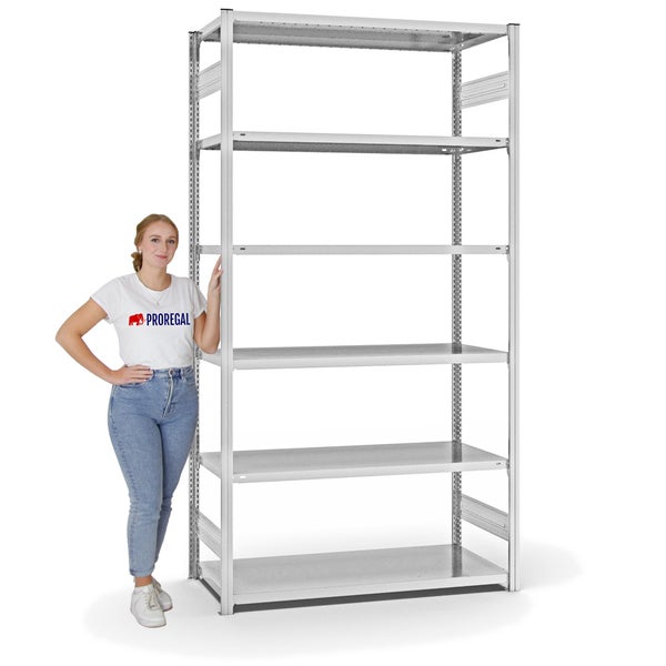 PROREGAL Fachbodenregal Stecksystem T-Profil Light-Duty Grundregal HxBxT 250 x 130 x 60 cm 6 Ebenen Fachlast 190 kg Beidseitig Nutzbar Lichtgrau