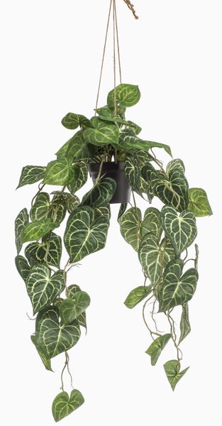 Künstliche Hängepflanze Scindapsus mit herzförmigen, silbern gemusterten Blättern.