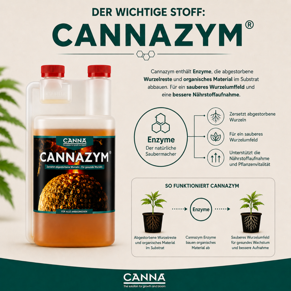 Infografik zu Canna Cannazym Pflanzennährstoff mit Dosierflasche und Erläuterung der enzymatischen Wirkung auf Wurzeln und Nährstoffaufnahme.