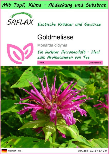 SAFLAX Garden to go - Goldmelisse - Monarda didyma - 20 Samen - Mit Topf, Klima - Deckel und Anzuchtsubstrat