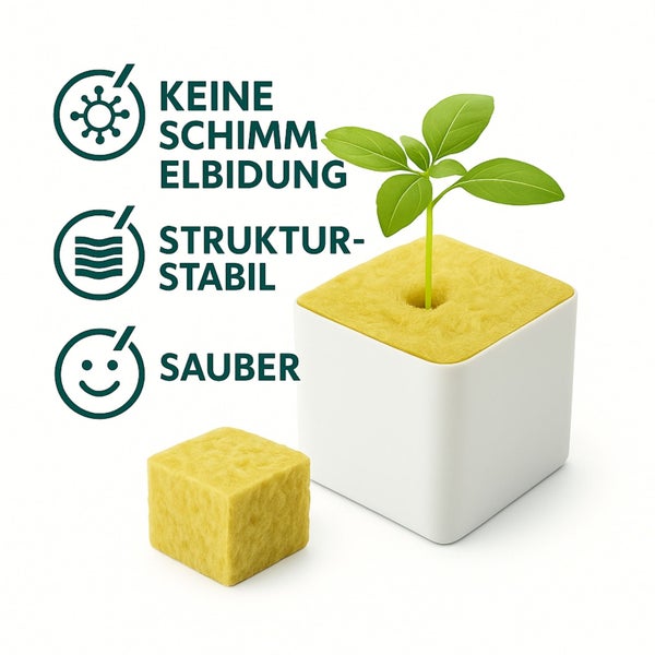 Anzuchtwürfel mit Pflanze, keine Schimmelbildung, Struktur stabil, sauber