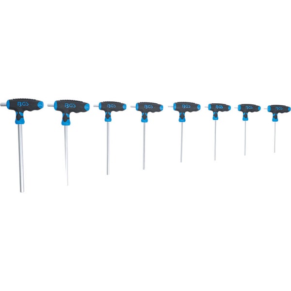 Satz Innensechskantschlüssel mit T-Griff in Halterung