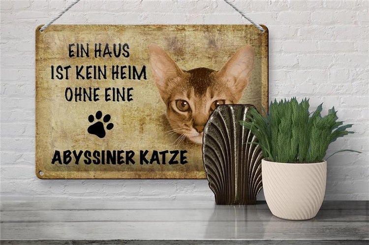 Blechschild Spruch 30x20cm Abyssiner Katze ohne kein Heim