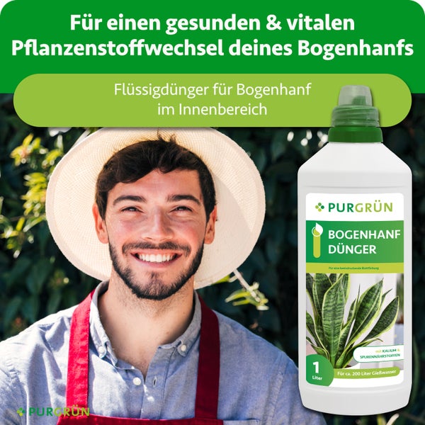 Purgrün Bogenhanf Dünger 1 Liter Flasche für Sansevieria im Innenbereich, präsentiert von einem Gärtner mit Strohhut.