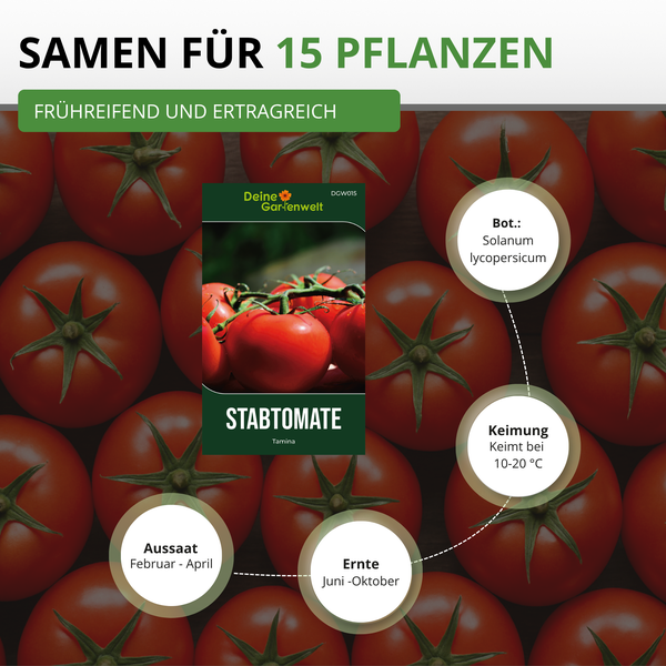 Infografik für Stabtomate Tamina: Samen für 15 Pflanzen, frühreifend, Aussaat Februar bis April, Ernte Juni bis Oktober, Keimung bei 10 bis 20 Grad.