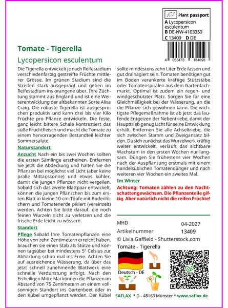 SAFLAX  - Tomate - Tigerella - Lycopersicon esculentum - 10 Samen