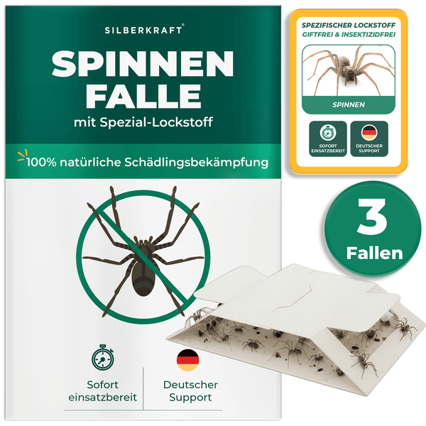 Silberkraft Spinnenfalle mit Spezial-Lockstoff für natürliche Schädlingsbekämpfung, sofort einsatzbereit, mit deutschem Support. Packung mit drei Fallen.
