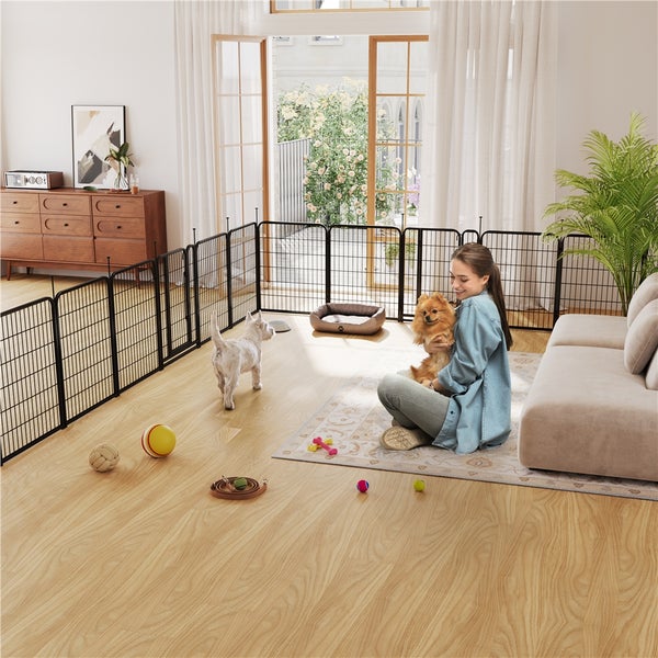 Wohnzimmer mit Hundezaun, Hundebett, Teppich und Frau mit Hund