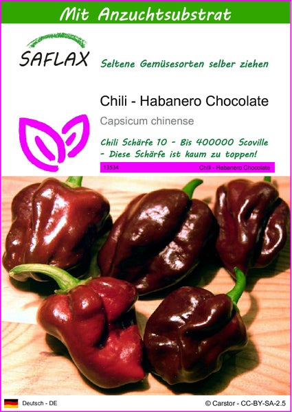 SAFLAX  - Chili - Habanero Chocolate - Capsicum chinense - 10 Samen - Mit keimfreiem Anzuchtsubstrat