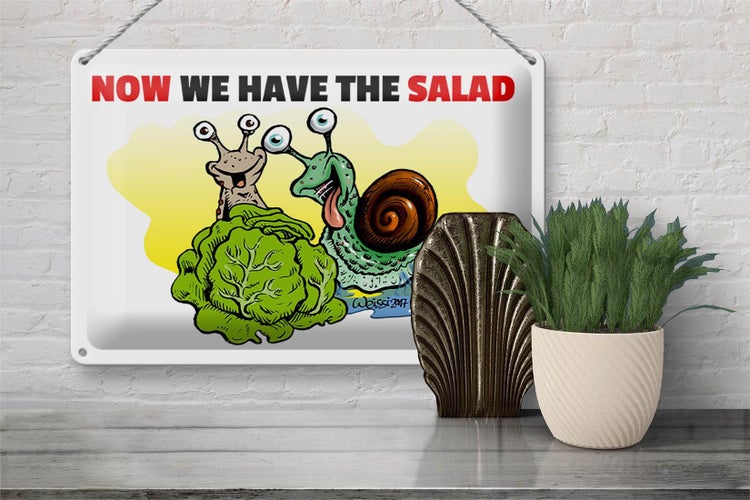 Blechschild Spruch 30x20cm Now we have the salad Schnecken