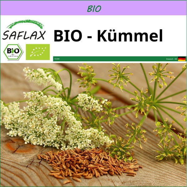 SAFLAX  - BIO - Kümmel - Carum carvi - 800 Samen