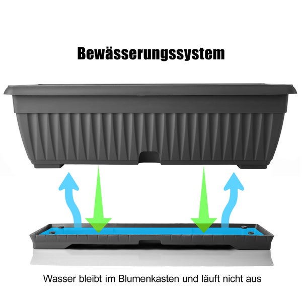 BigDean Blumenkasten mit abnehmbarem Untersetzer - Anthrazit 50 cm lang aus bruchsicherem Kunststoff - Balkonkasten Pflanzkasten mit Wasserspeicher für Innen- & Außenbereich geeignet - Made in Europe