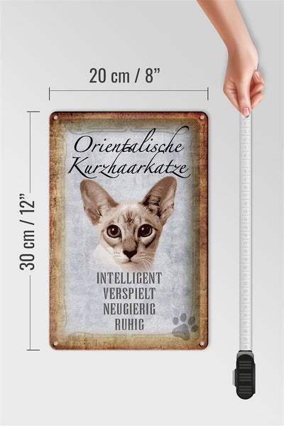 Blechschild Spruch 20x30cm orientalische Kurzhaarkatze