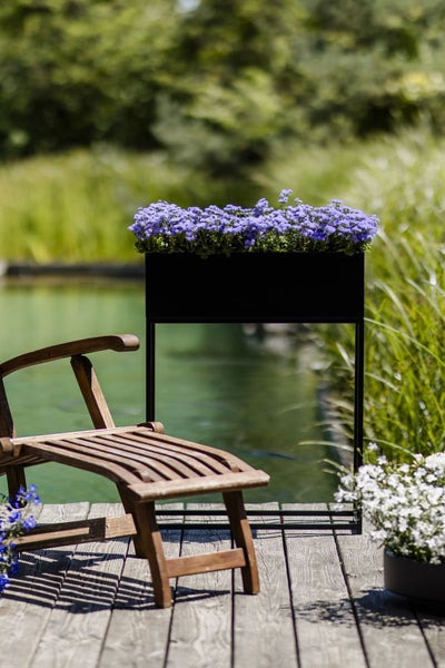 Schwarzer Blumenkasten auf Gestell mit lila Blumen auf einem Holzdeck an einem Gartenteich.