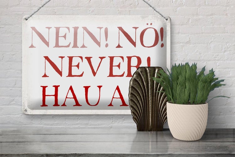 Blechschild Spruch 30x20cm nein nö never hau ab Schild